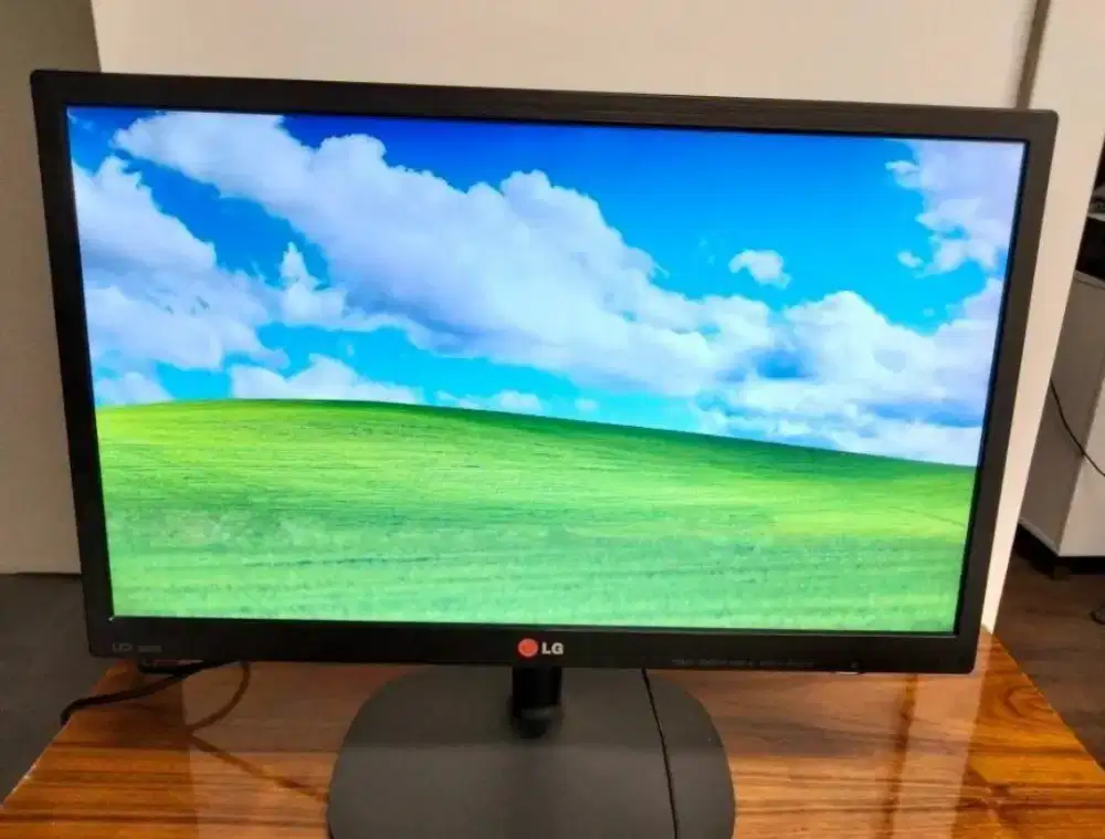 LG 22in Monitor