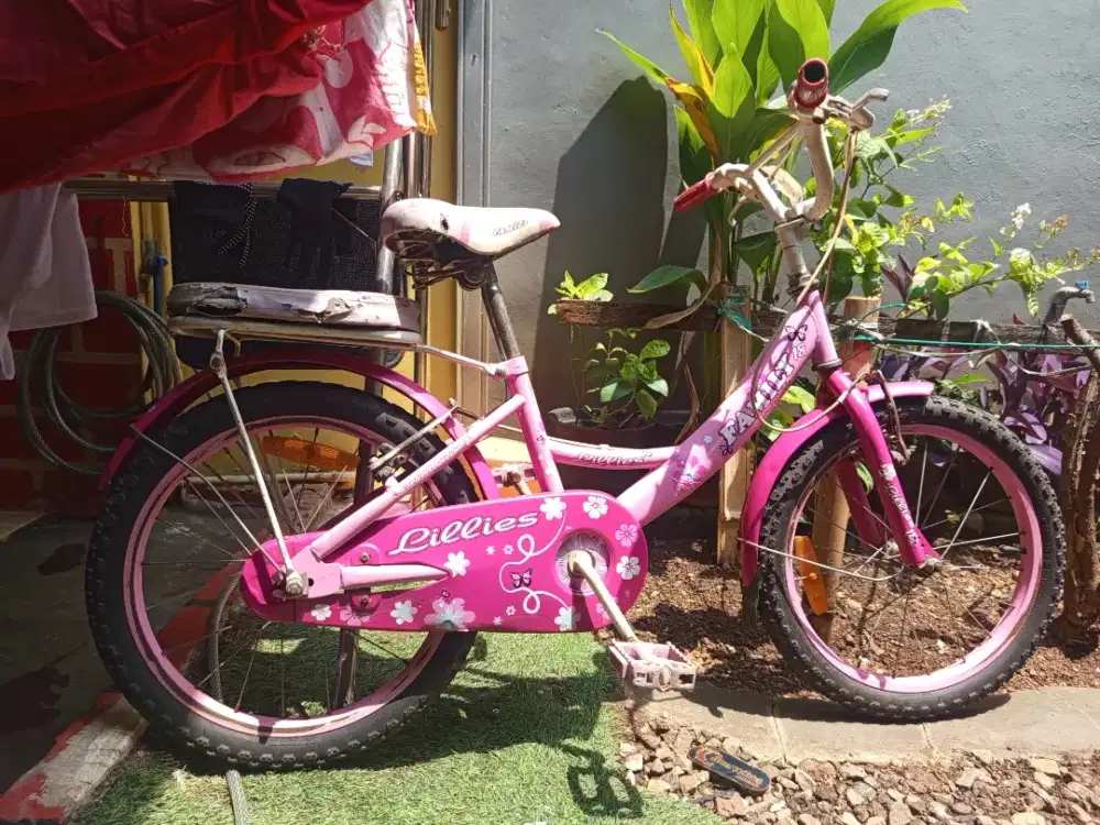 Sepeda anak merk family bonus autopad