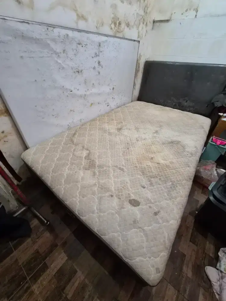 Kasur Spring Bed Esteem LAB 17 Oscar Bla 120 cm x 200 cm