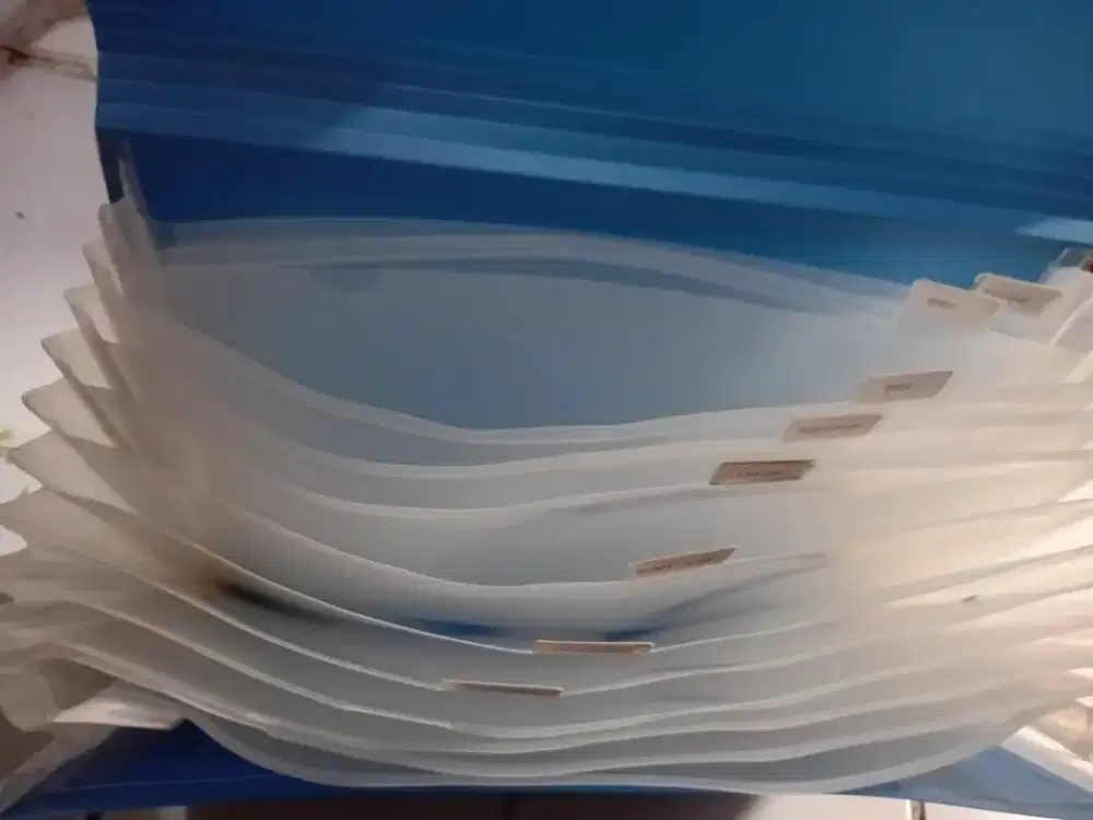Bantex Expandint File F4