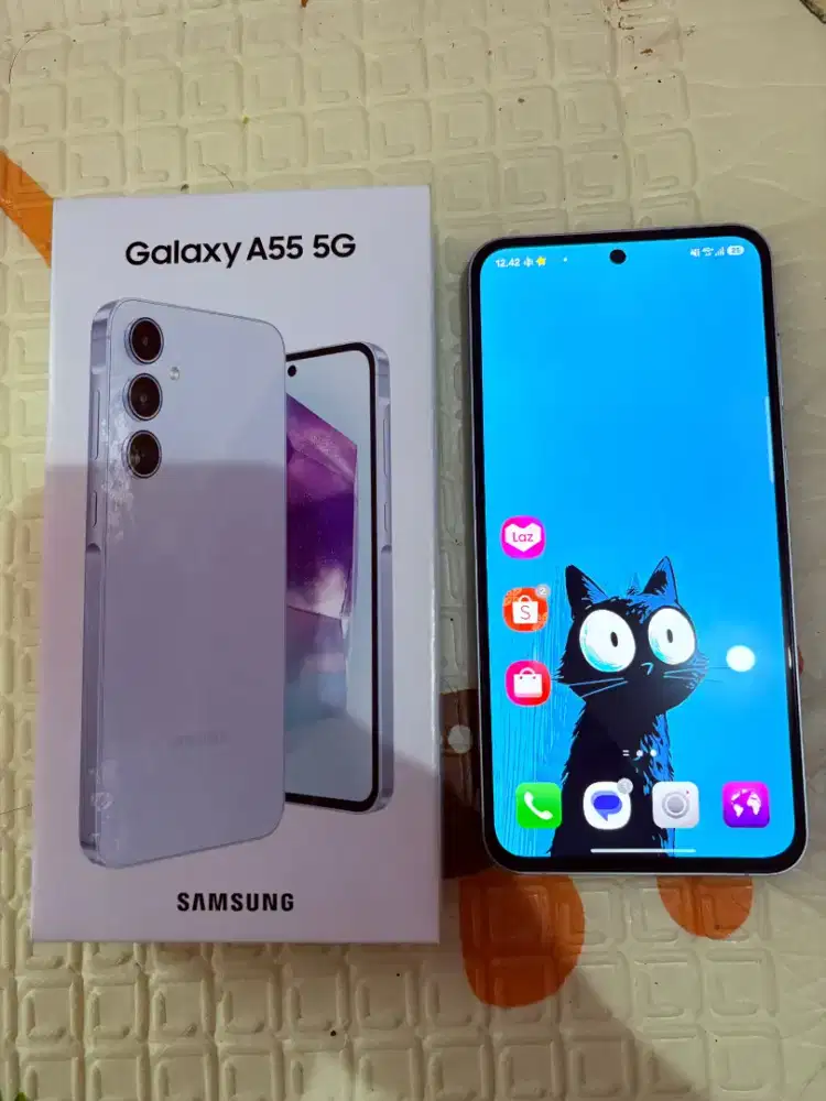 Samsung Galaxy A55