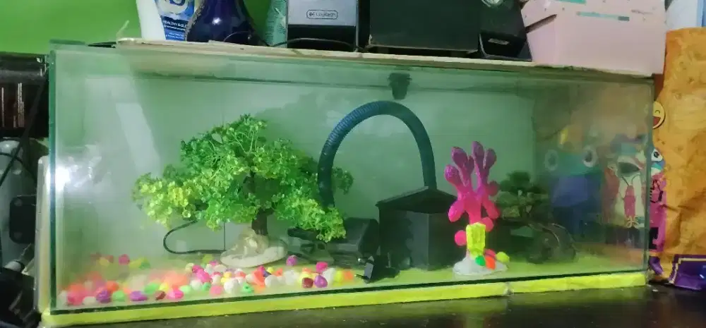 Aquarium all in