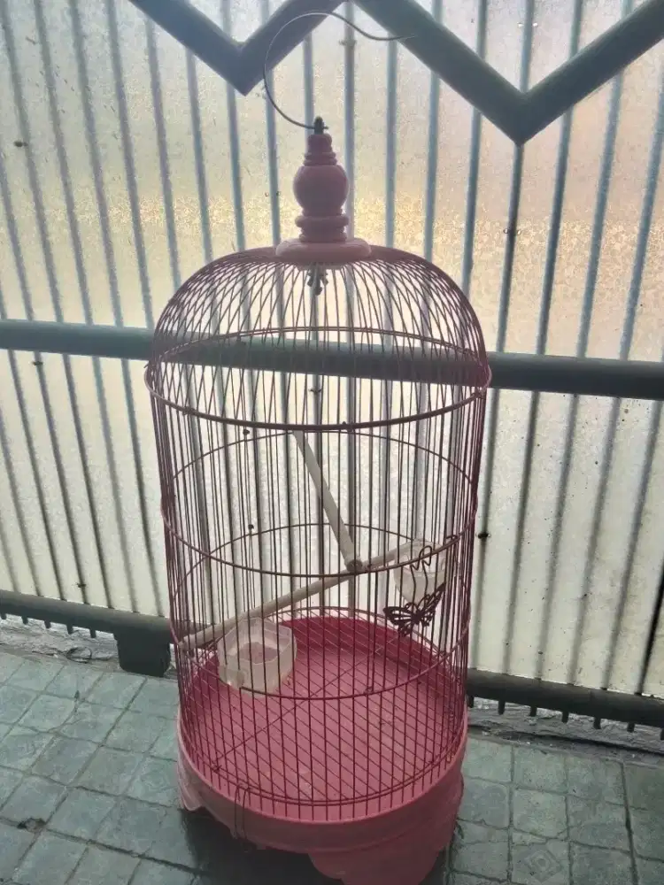 Kandang lovebird