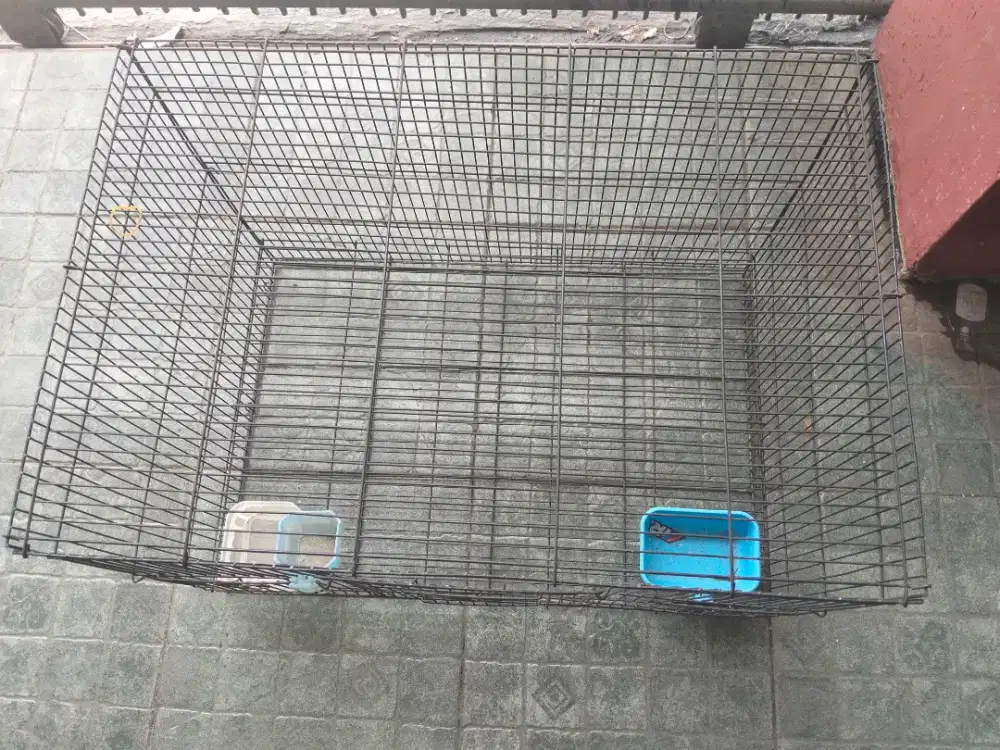 Kandang burung persegi