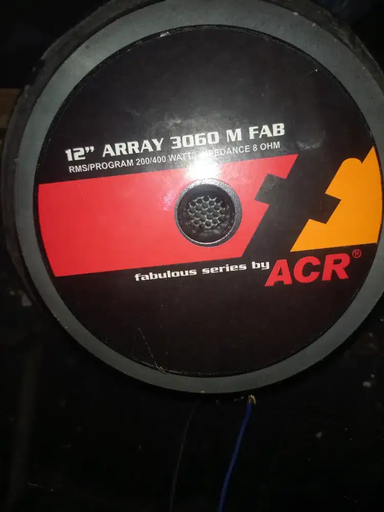 Speaker pasif 12 inch ACR