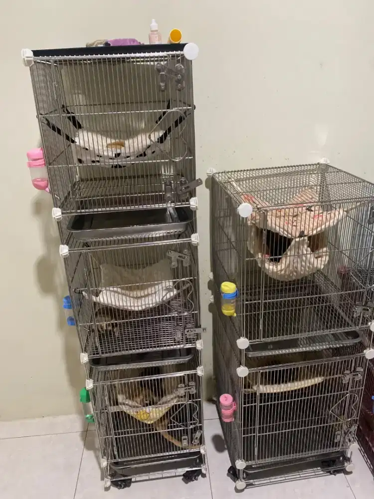 Kandang stainless sugar glider 40x40 import