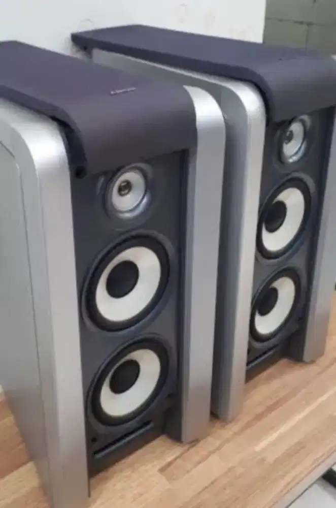Speaker pasif SONY FLX9 GLERR