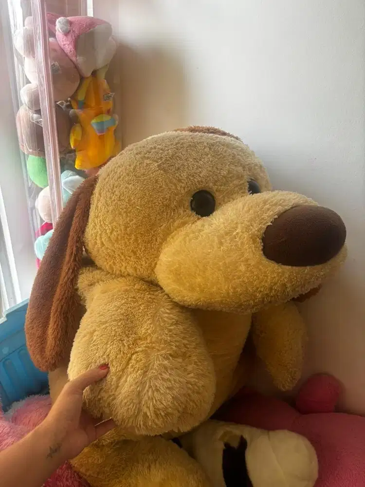 Boneka anjing jumbo isbon