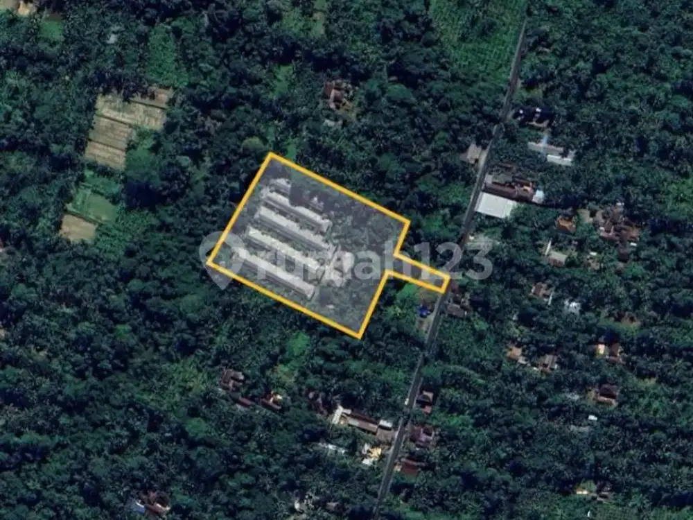 Dijual Cepat Tanah Strategis dan Luas di Payangan, Gianyar
