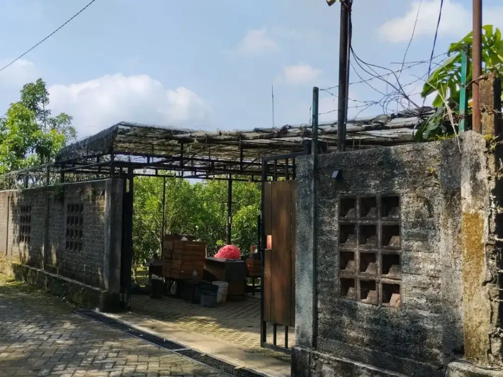 KAVLING LAHAN PERKEBUNAN PRODUKTIF DI MOJOKERTO