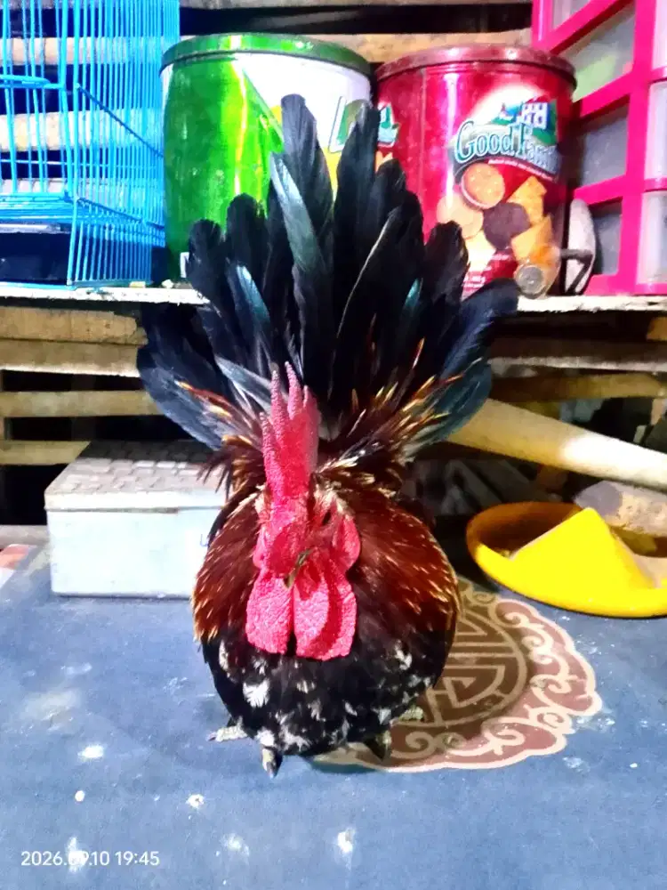 ayam kate benjarong