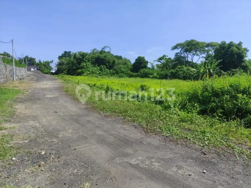 Dijual Cepat Tanah Pinggir Jalan Utama Investasi Komersial di Gianyar