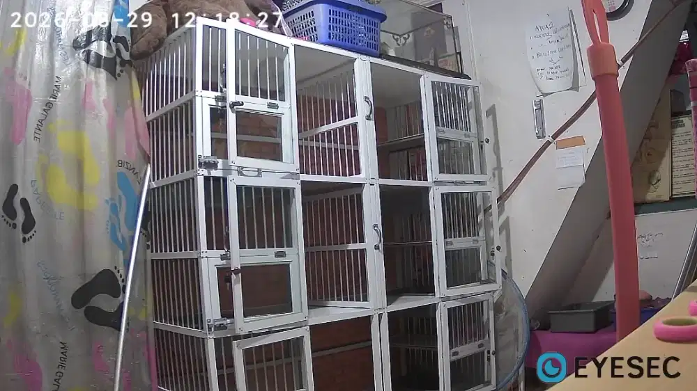Lowongan Art Pulang Pergi Kelurahan Tengah,Kramat Jati.