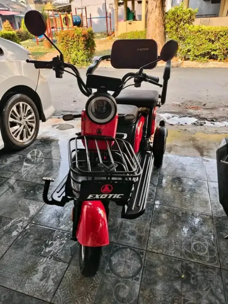 Siera roda tiga merk exotic