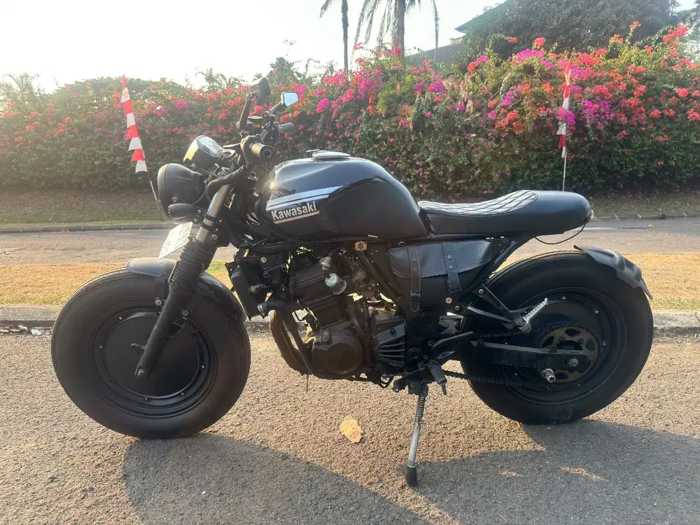 Kawasaki Ninja 250 2012 Custom