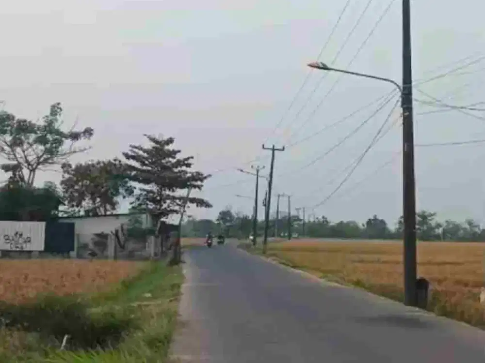 tanah murah 1.2 jt/m dekat jababeka
