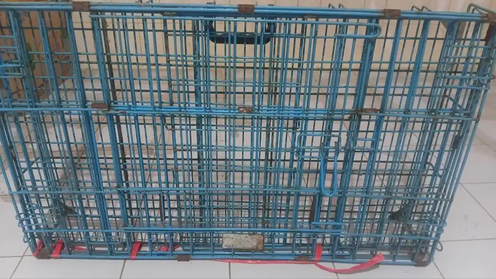 Kandang Kucing Octagon