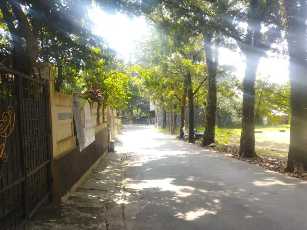 Tanah Kavling Komersial Strategis di Dekat SMAN 2 Bogor