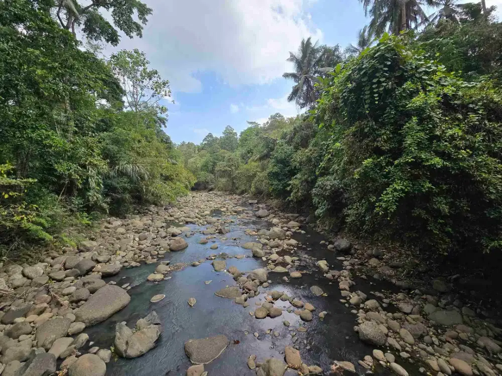 Murah tanah los sungai view sawah di tabanan bali