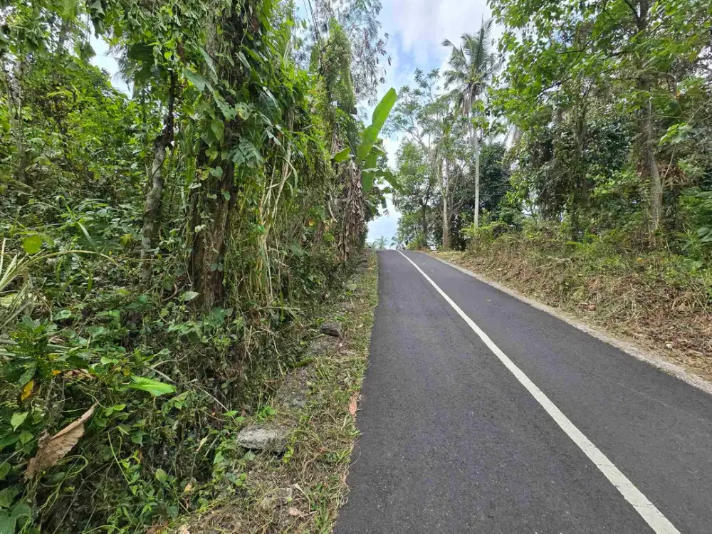 Tanah kebun durian manggis lagi BUC DI TABANAN BALI