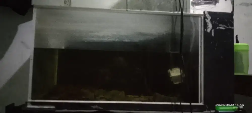 Aquarium bekasss