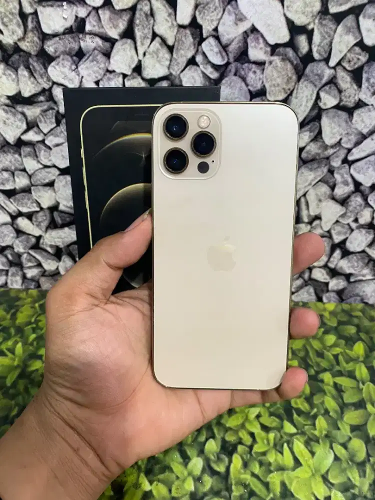 iPhone 12 pro 128Gb ex inter