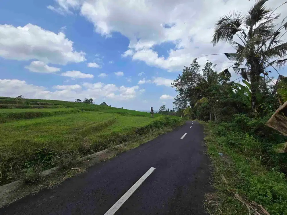 Dijual tanah kosong view laut lembah dan sawah terasering di tabanan bali
