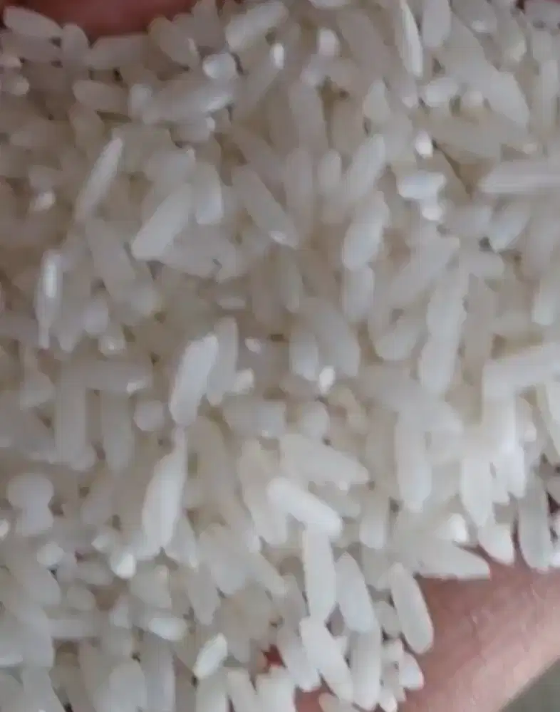 Beras Medium Pulen