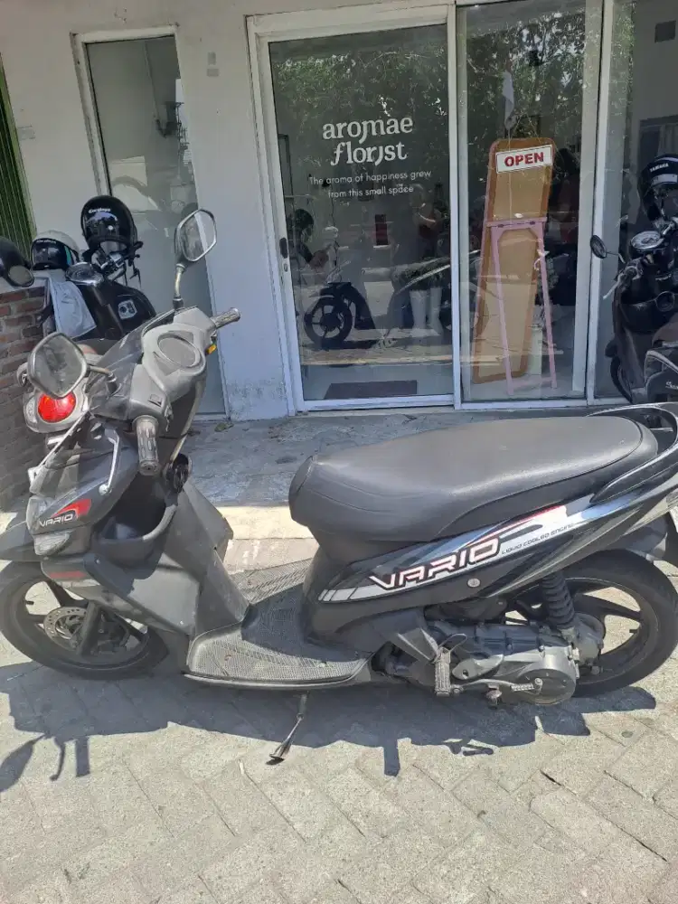 Motor Vario 2010