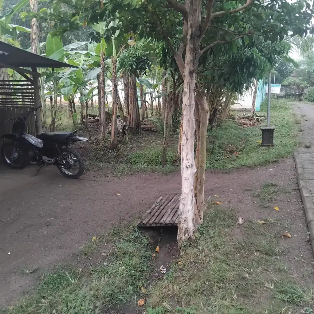 Tanah tegalan 0jalan desa