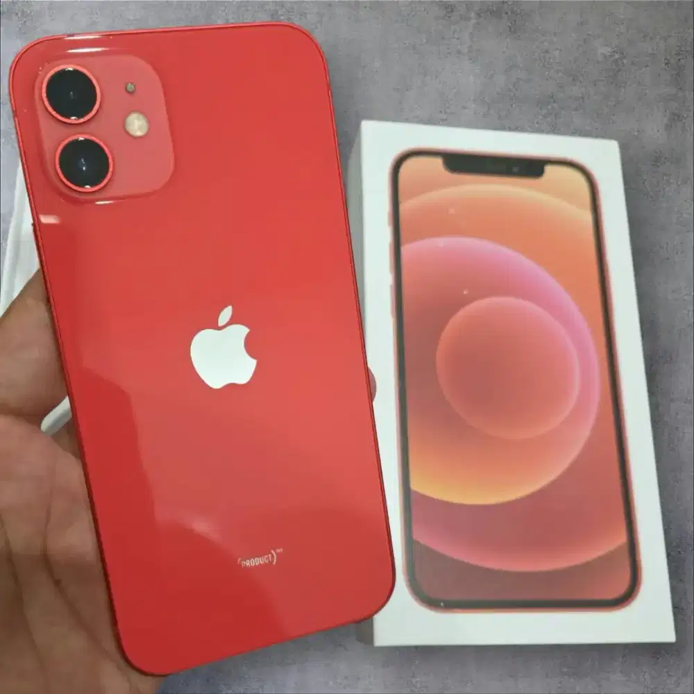 Iphone 12 256 GB Ex ibox