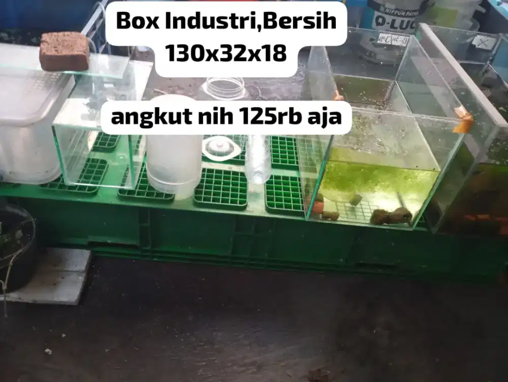 box Industri bersih