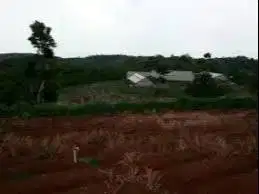 Jual Tanah Di Sukabumi