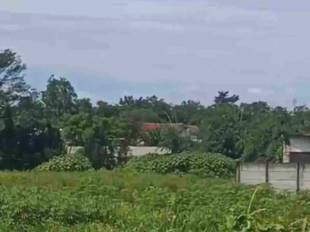 dijual tanah di ranca iyuh.tgr banten