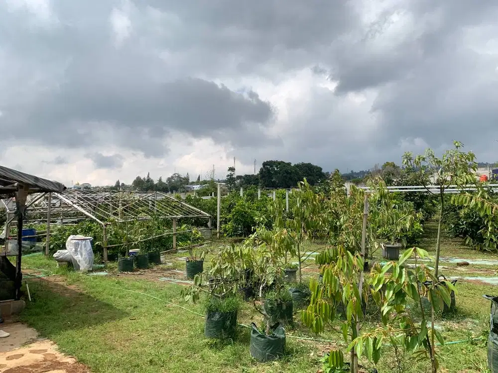 DIJUAL TANAH STRATEGIS + KEBUN di Sariwangi Bandung