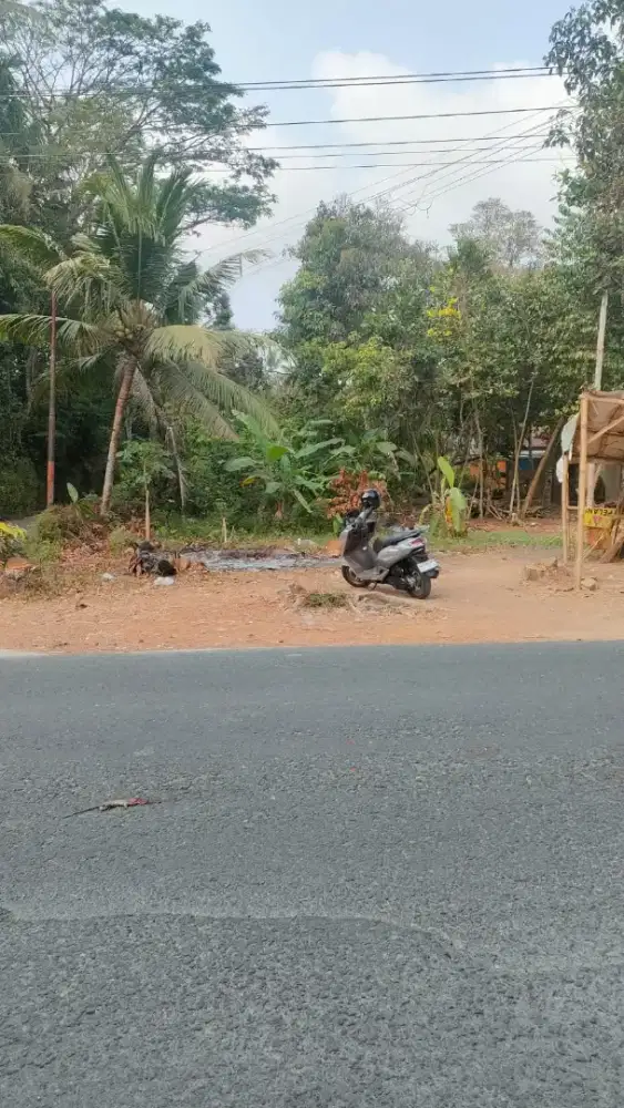 Tanah di jalan raya Petanahan- Puring