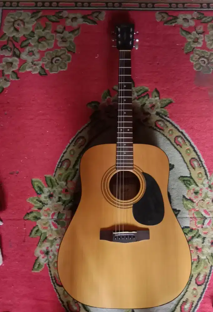 Gitar merk cort