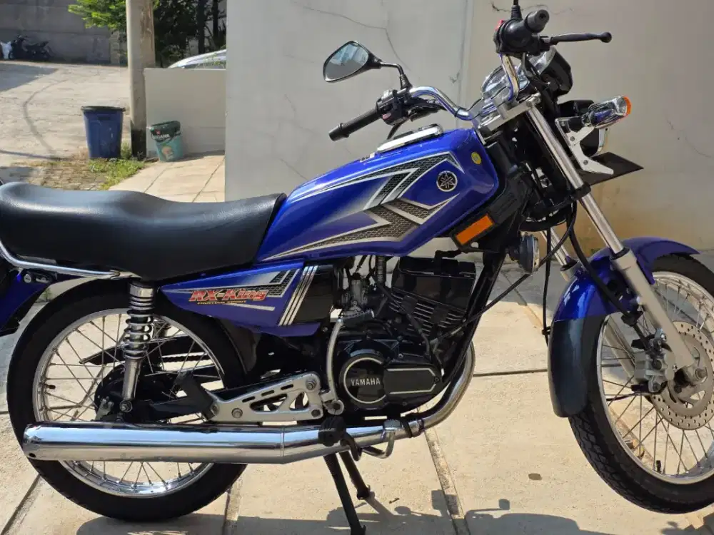 Rx King Birunya Cinta