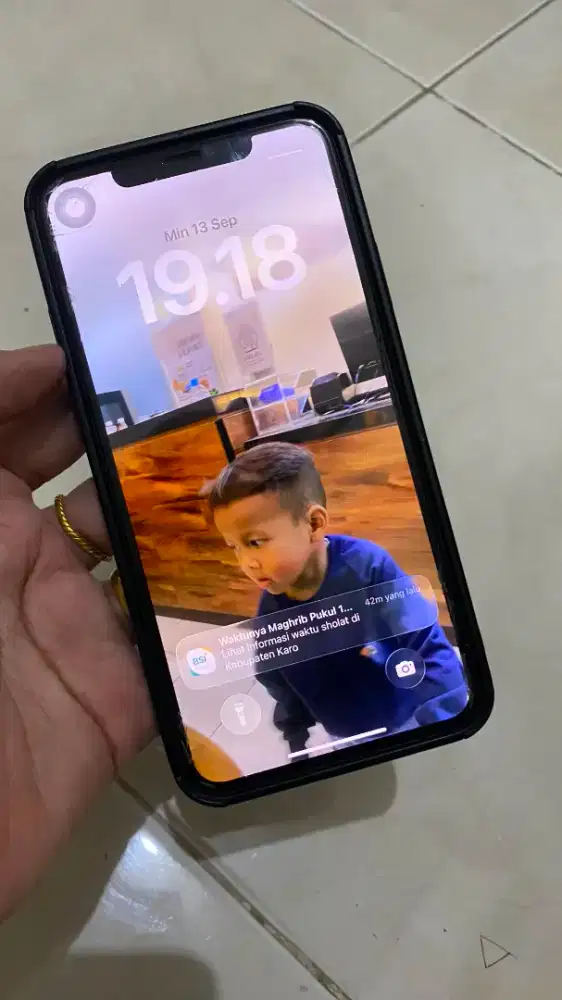 IP 11 pro max 256 GB