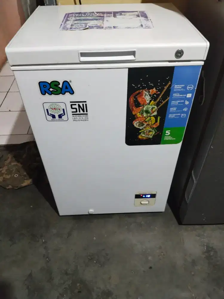 Freezer RSA 100 L