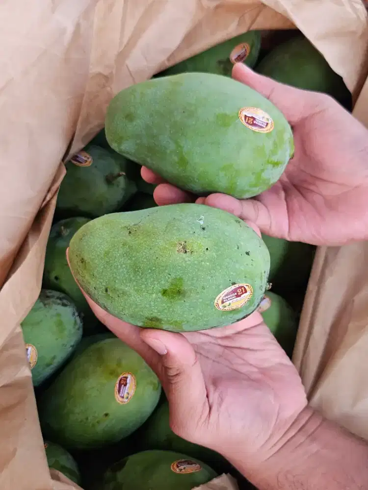 Mangga Harum Manis Grade A Super Murah