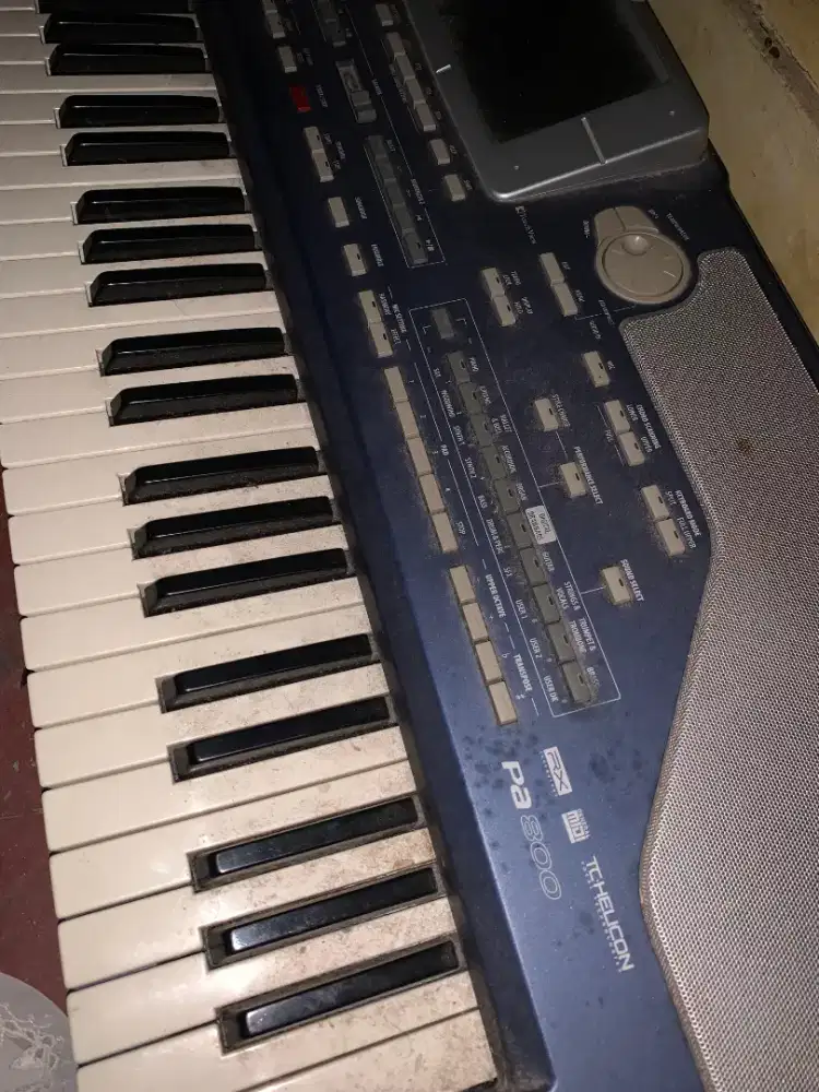 Keyboard Korg PA800