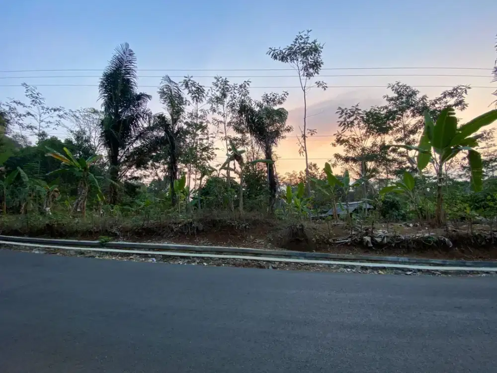 Dijual Murah Tanah Kebun Pinggir Jalan di Pondoksalam Purwakarta