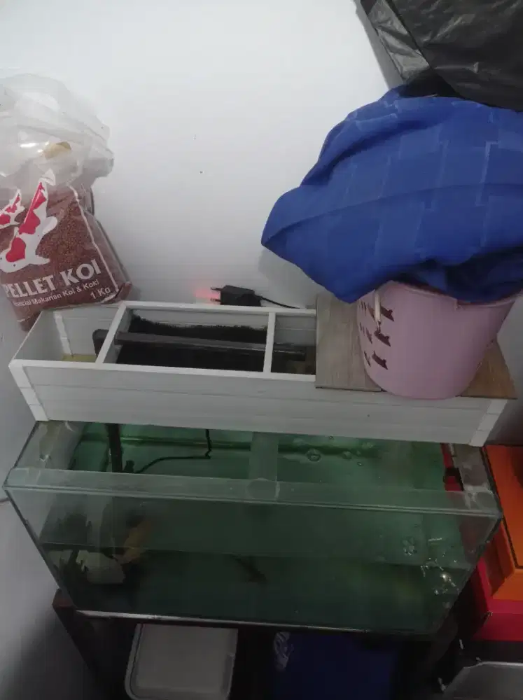 JUAL AQUARIUM BESERTA AKSESORIS DAN ISINYA