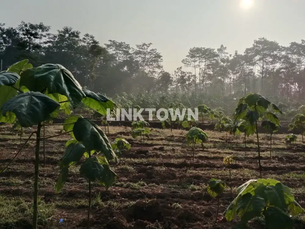 DIJUAL TANAH SIAP BANGUN DI WONOSOBO