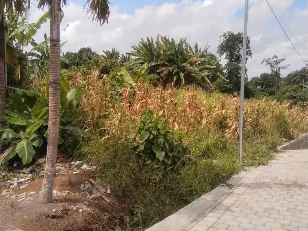 Dijual Tanah Kavling Premium 
Lokasi - Lukluk, Mengwi