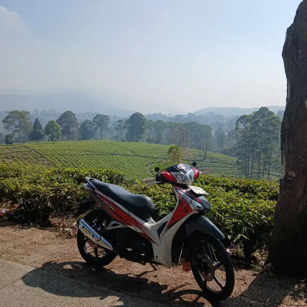 Honda supra x 125 helm in carburator si bandel irit