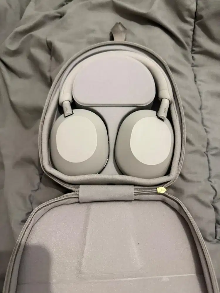 WTS SONY WH-1000XM5 SILVER
