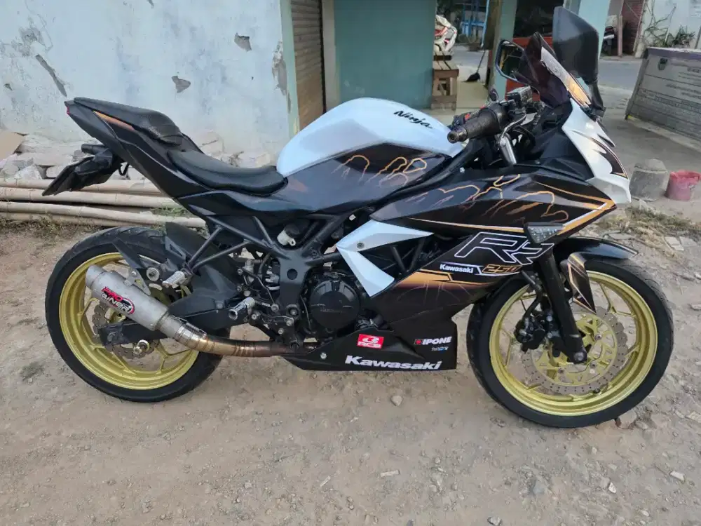 Ninja 250 fi Mono 2014