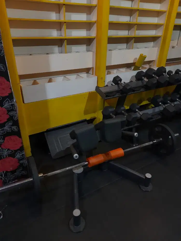 Back extencion machine dhz